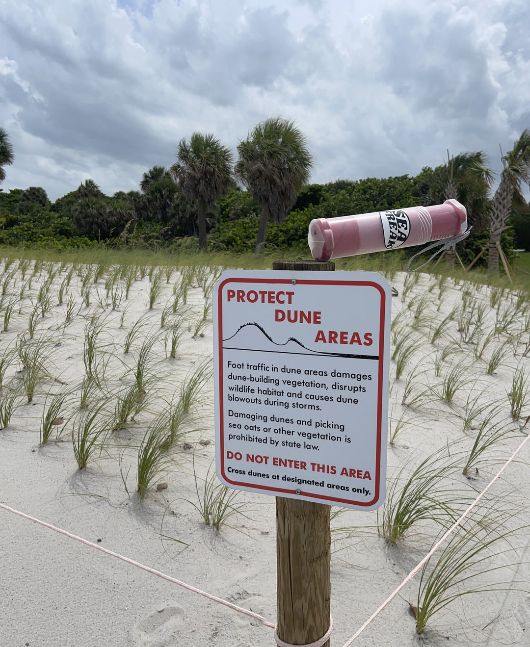 The Importance Of Dune Areas